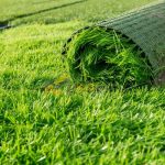 Bán cỏ nhân tạo sân vườn giá rẻ chất lượng tại TPHCM