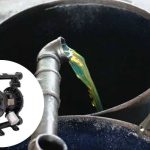 Ứng dụng thực tế của máy bơm màng trong ngành xử lý dầu thải