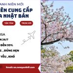 Xin visa Nhật Bản vắng mặt cho người hộ khẩu miền Nam
