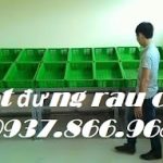 Tìm nhà phân phối sọt nhựa, đơn vị sản xuất sọt