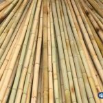 Bán cây trúc khô trang trí giá rẻ chất lượng tại TPHCM