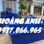 Thùng dung tích lớn 2 lớp chứa hóa chất, thùng dung tích lớn tại hà nội, địa chỉ cung cấp thùng dung