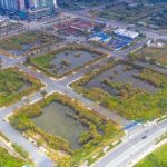 Cốm Tú Lệ – Tinh Hoa Văn Hóa Vùng Tây Bắc