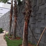 Điểm danh các mẫu đá ốp tường trang trí tự nhiên đẹp