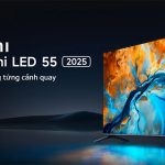 L55MA-SPLEA có đặc điểm nổi bật nào?