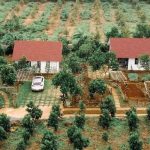 Có được tách thửa đối với đất được hưởng thừa kế?