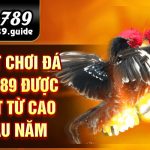 Cách đá gà mạng luôn thắng tại Alo789