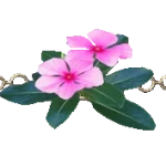 Thi Công Máy Lạnh Giấu Trần Daikin 5hp – Thi Công Ống Gió Máy Lạnh Chuyên Nghiệp