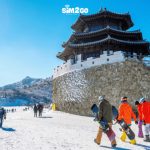 Những lịch trình và giá tour du lịch Hàn Quốc phổ biến