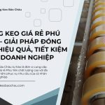Băng Keo Giá Rẻ Phú Yên – Giải Pháp Đóng Gói Hiệu Quả, Tiết Kiệm Cho Doanh Nghiệp