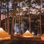 10 Địa Điểm Cắm Trại “Cực Chất” Tại Đà Lạt