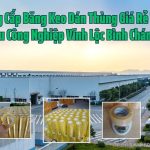 Cung Cấp Băng Keo Dán Thùng Giá Rẻ Tại Khu Công Nghiệp Vĩnh Lộc Bình Chánh