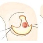 Thường xuyên không mặc áo ngực có bị chảy xệ không