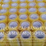 Đơn Vị Cung Cấp Băng Keo Giá Sỉ Tại Cà Mau Mọi Số Lượng