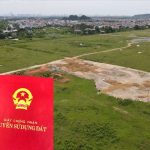 Đất nông nghiệp không sử dụng có bị thu hồi không?