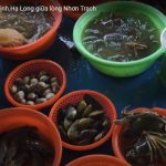 Làng Bè Phước An – Điểm Đến Đậm Chất Sông Nước Tại Nhơn Trạch, Đồng Nai