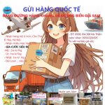 Dịch vụ vận chuyển gửi đồng hồ đi Mỹ giá rẻ