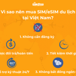 Nên mua SIM/eSIM du lịch Hàn Quốc ở đâu?