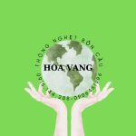 Thông Nghẹt Bồn Cầu Hòa Vang: Giải Pháp Hiệu Quả Cho Vệ Sinh Nhà Tắm