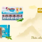 Hộp Quà Tặng Tổ Yến Chưng Truyền Thống Quà Sức Khỏe Cao Cấp