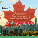 Bay hãng Eva Air  trải nghiệm mùa lá phong ở Canada