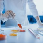 Những Loại Phụ Gia Phổ Biến Trong Hạt Nhựa Màu