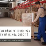 Ứng Dụng Màng PE Trong Vận Chuyển Hàng Hóa Quốc Tế