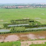 Đất nông nghiệp quỹ I, quỹ II là gì? Quản lý đất nông nghiệp quỹ I, quỹ II thế nào?