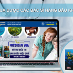 King Fucoidan có tốt không? Tìm hiểu về công dụng và cách sử dụng hiệu quả