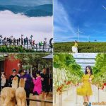 5 Chương trình tour Đà Lạt 1 ngày hấp dẫn nhất do AGO Tourist tổ chức