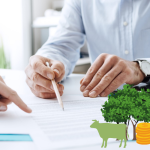 Bồi thường về cây trồng, vật nuôi khi Nhà nước thu hồi đất