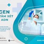Xét Nghiệm NIPT Hà Nội: Đồng Hành Cùng Mẹ Bầu, Chào Đón Con Yêu Khỏe Mạnh Cùng VIETGEN