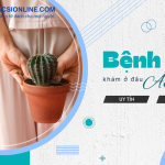 Bệnh trĩ khám ở đâu hiệu quả? Gợi ý phòng khám chất lượng