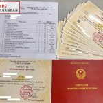 Chứng Chỉ Sư Phạm Giáo Viên Tiếng Anh Tiểu Học: Điều Kiện Và Quy Trình Đăng Ký