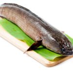 Cá lóc là gì? Giá trị dinh dưỡng từ loài cá nước ngọt