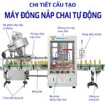 Cấu tạo và Nguyên lý hoạt động của máy đóng nắp chai