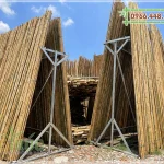 Nơi bán cây trúc khô trang trí giá rẻ tại TPHCM