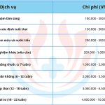 Chi phí phá thai ở Bệnh viện Hùng Vương 2024