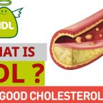 Chỉ số Cholesterol HDL trong máu có ý nghĩa như thế nào?
