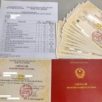 Nghiệp vụ sư phạm dành cho giáo viên dạy tiếng anh tiểu học