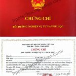 Chứng chỉ tư vấn du học mở khóa liên tục trong tháng