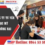 Công ty tư vấn du học Mỹ tại Đồng Nai: Hỗ trợ chặt chẽ, cơ hội thành công