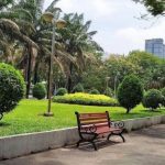 12 công viên đẹp nhất Sài Gòn giúp bạn tận hưởng không gian xanh mát