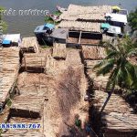 Vựa cừ tràm uy tín đáng tin cậy hiện nay tại TPHCM