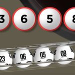 Zowin giải mã giấc mơ thấy mèo đánh con gì?