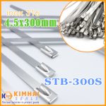 Dây rút inox 4.5x300mm inox 316, chống từ tính, chịu nhiệt cao