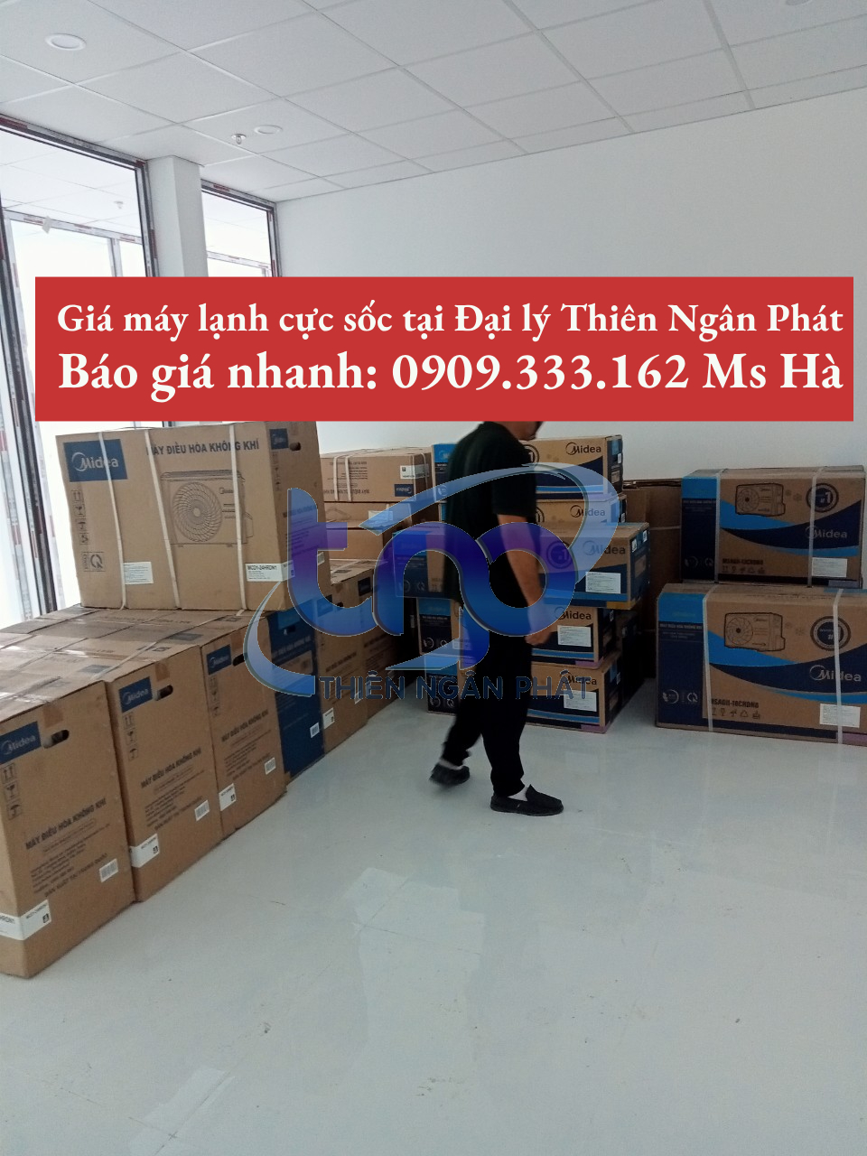 Ảnh 1