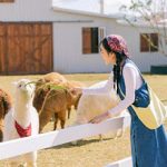 Du Lịch Đà Lạt Đến Với Xứ Sở Tình Yêu