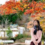 Du lịch Nhật Bản trái nghiệm và khám phá 2025