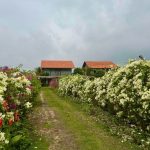 Thuê biệt thự Hồ Tràm dịp lễ 30/4-1/5 – Trốn phố, đón biển!